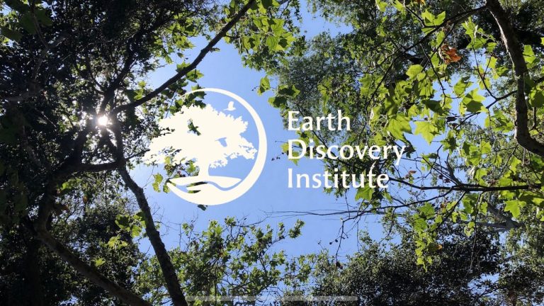 Hike at Crestridge Ecological Reserve with the Earth Discovery Institute